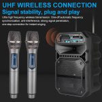 2X Wireless Microphone UHF Professional Handheld Mic System Receiver For Karaoke