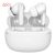 White2pcs