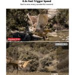 Trail Camera 36MP 2K 30fps, Usogood 2pcs Night Vision Game Cameras With Motion Activated Hunting Cam Waterproof With Infrared LED For Outdoor Security
